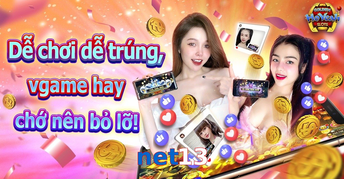 net13